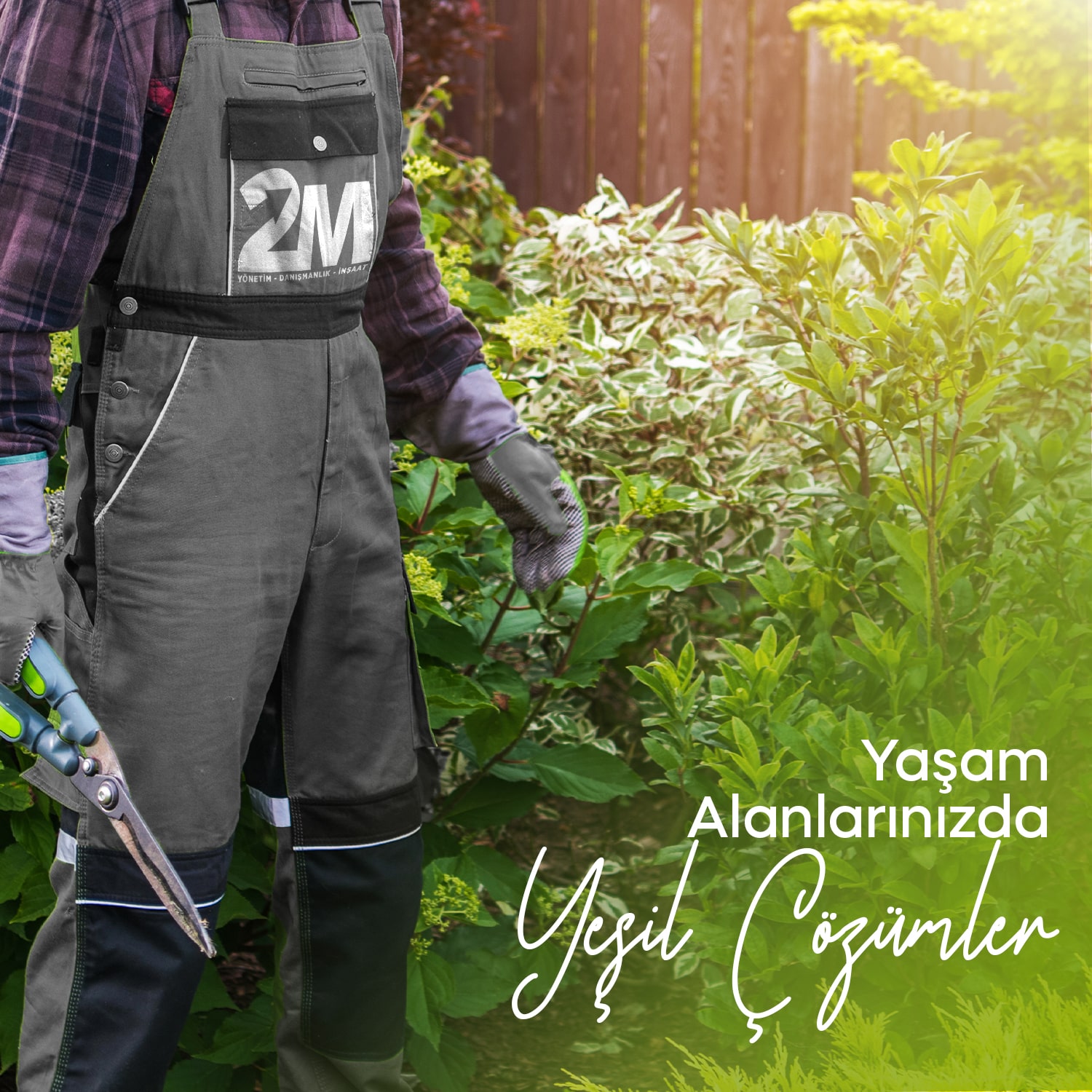 2m Social Media Design