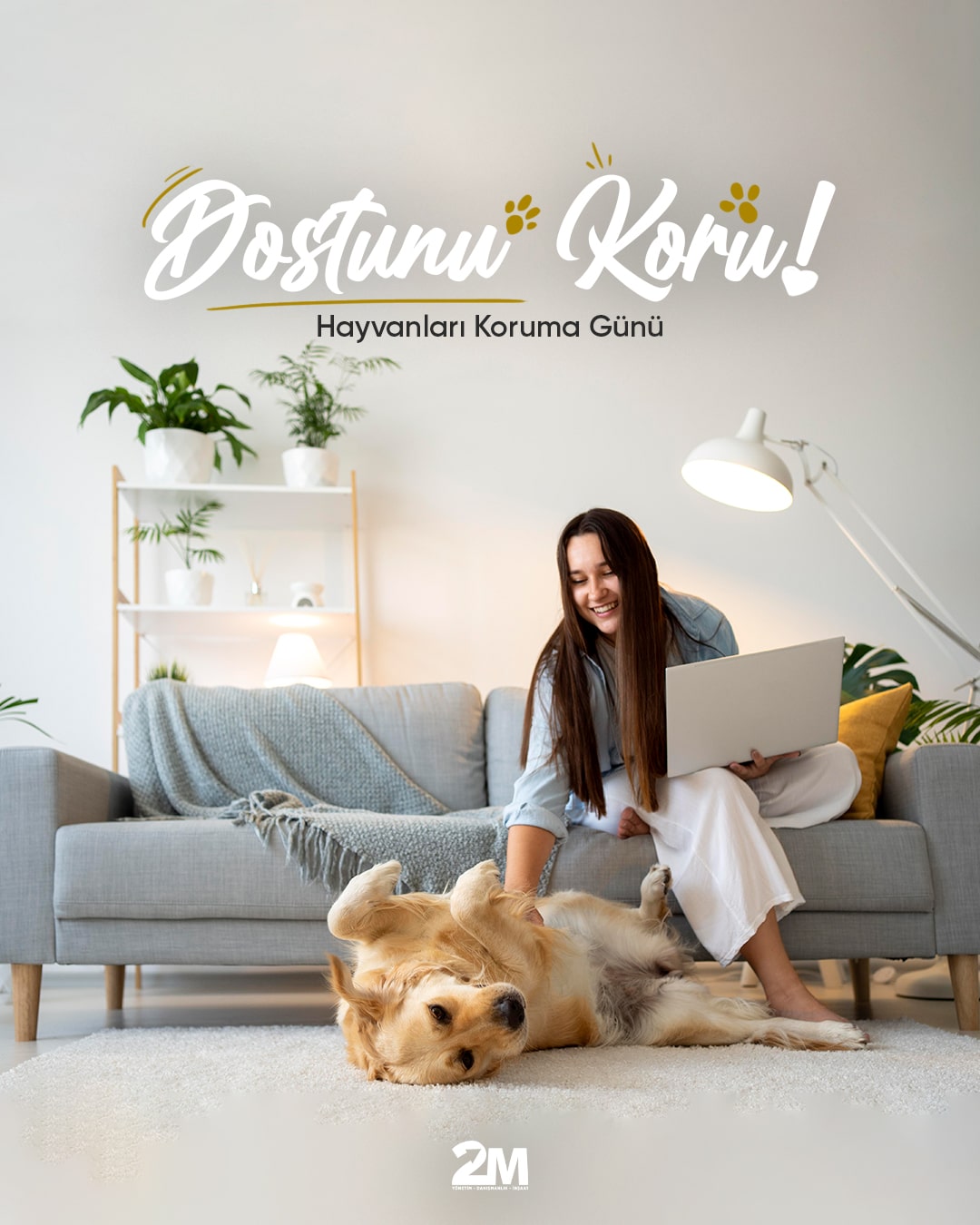 2m Social Media Design