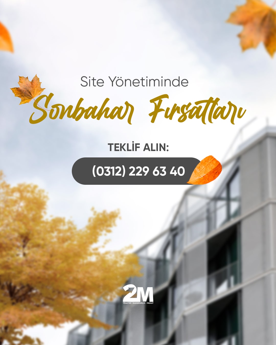 2m Social Media Design