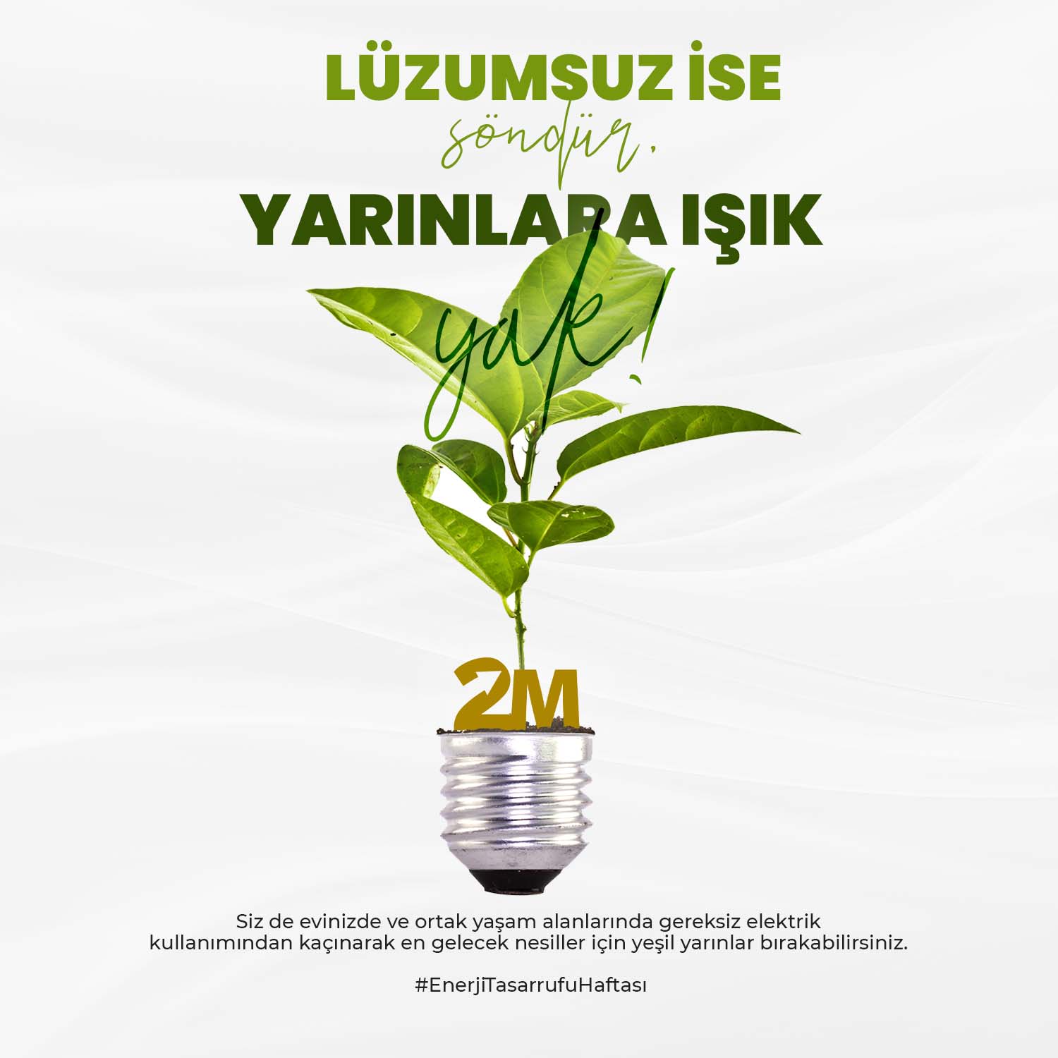 wfms Social Media Design