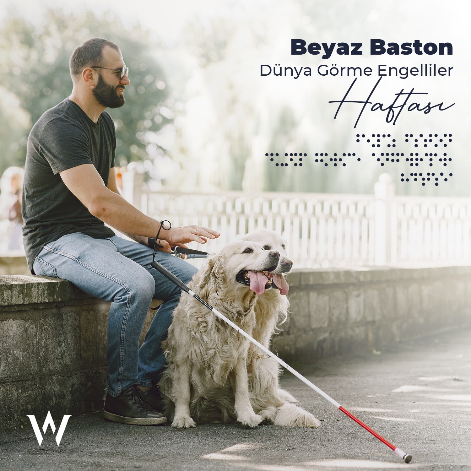 wfms Social Media Design