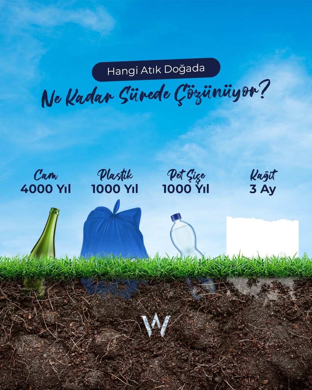 wfms Social Media Design