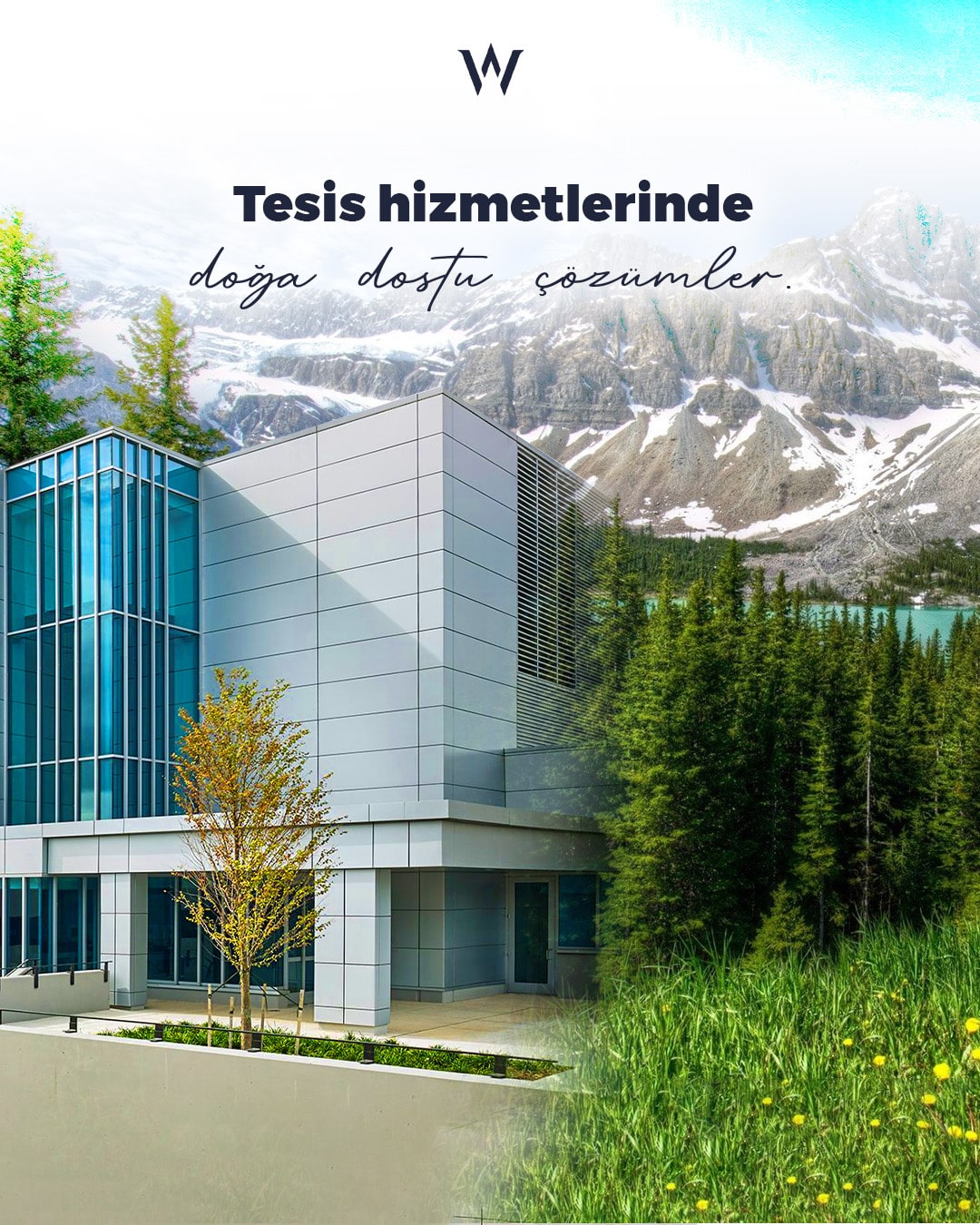 wfms Social Media Design