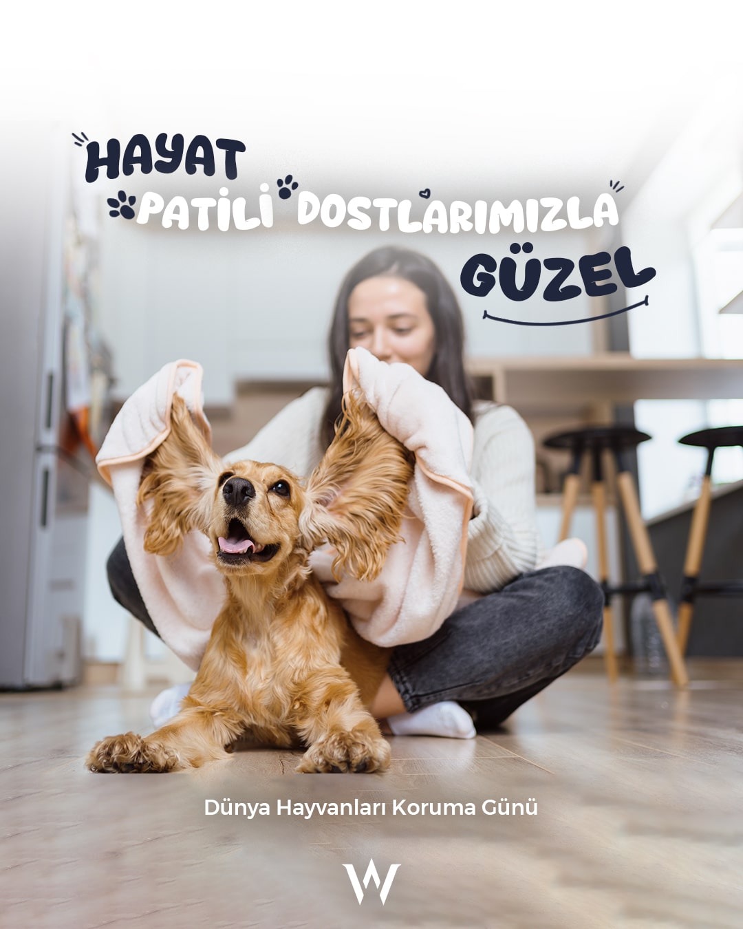 wfms Social Media Design