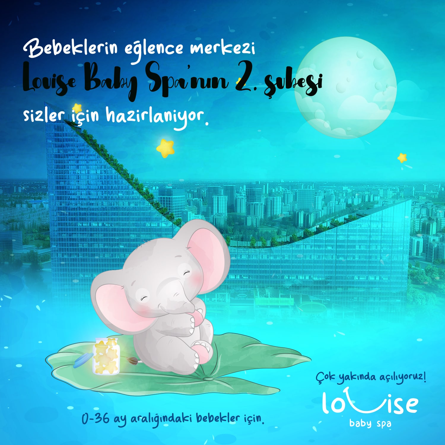 louise Social Media Design