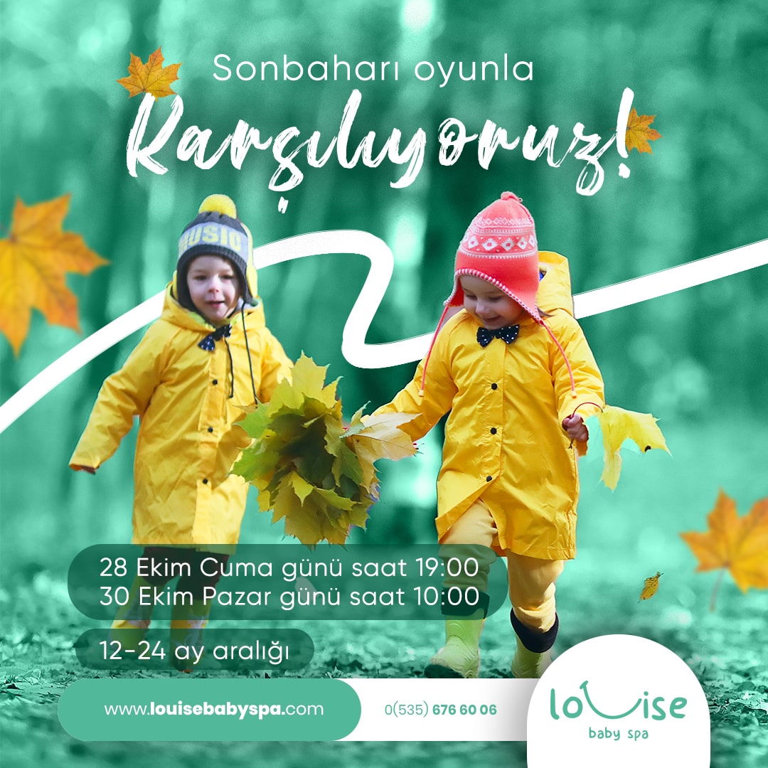 louise Social Media Design