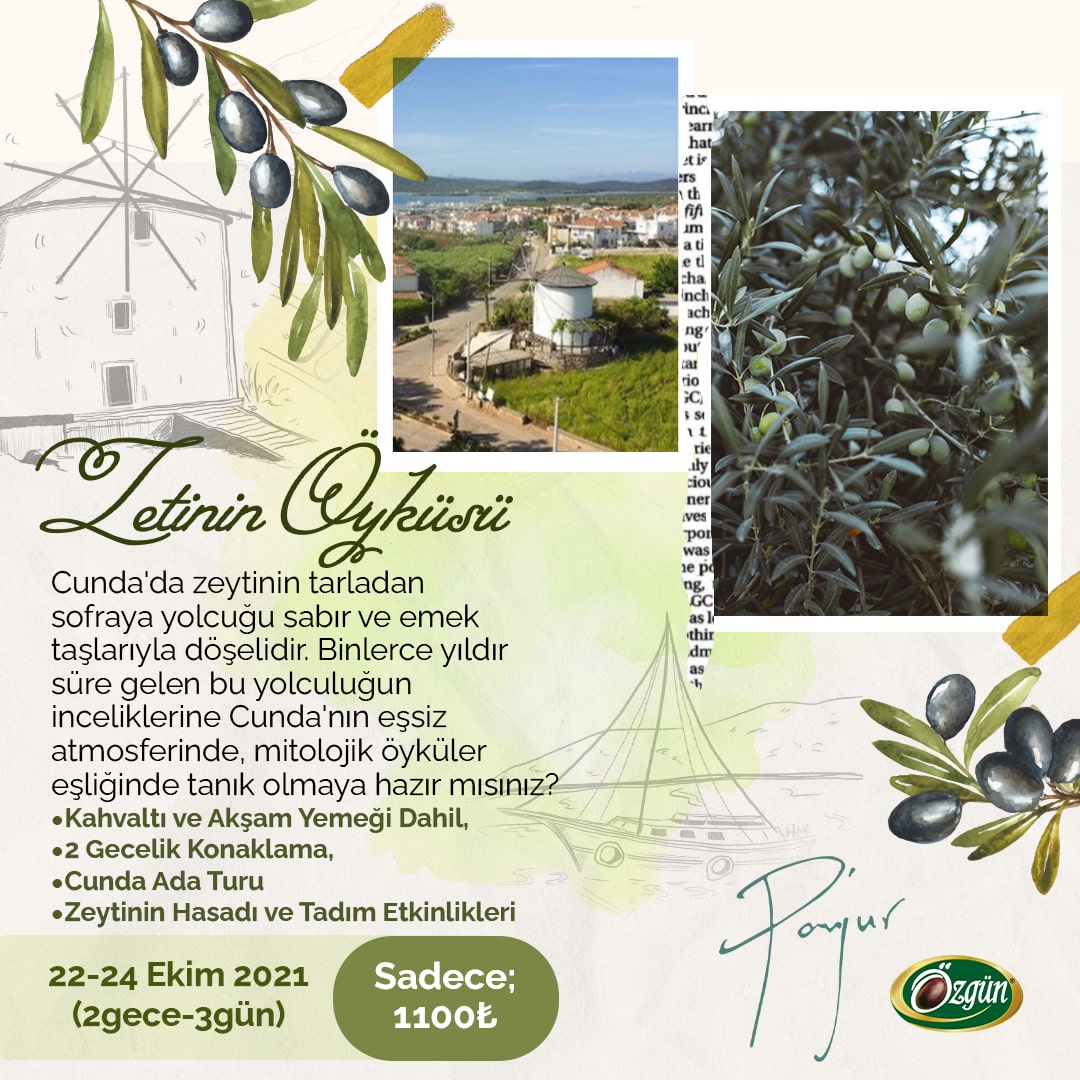 panjur Social Media Design