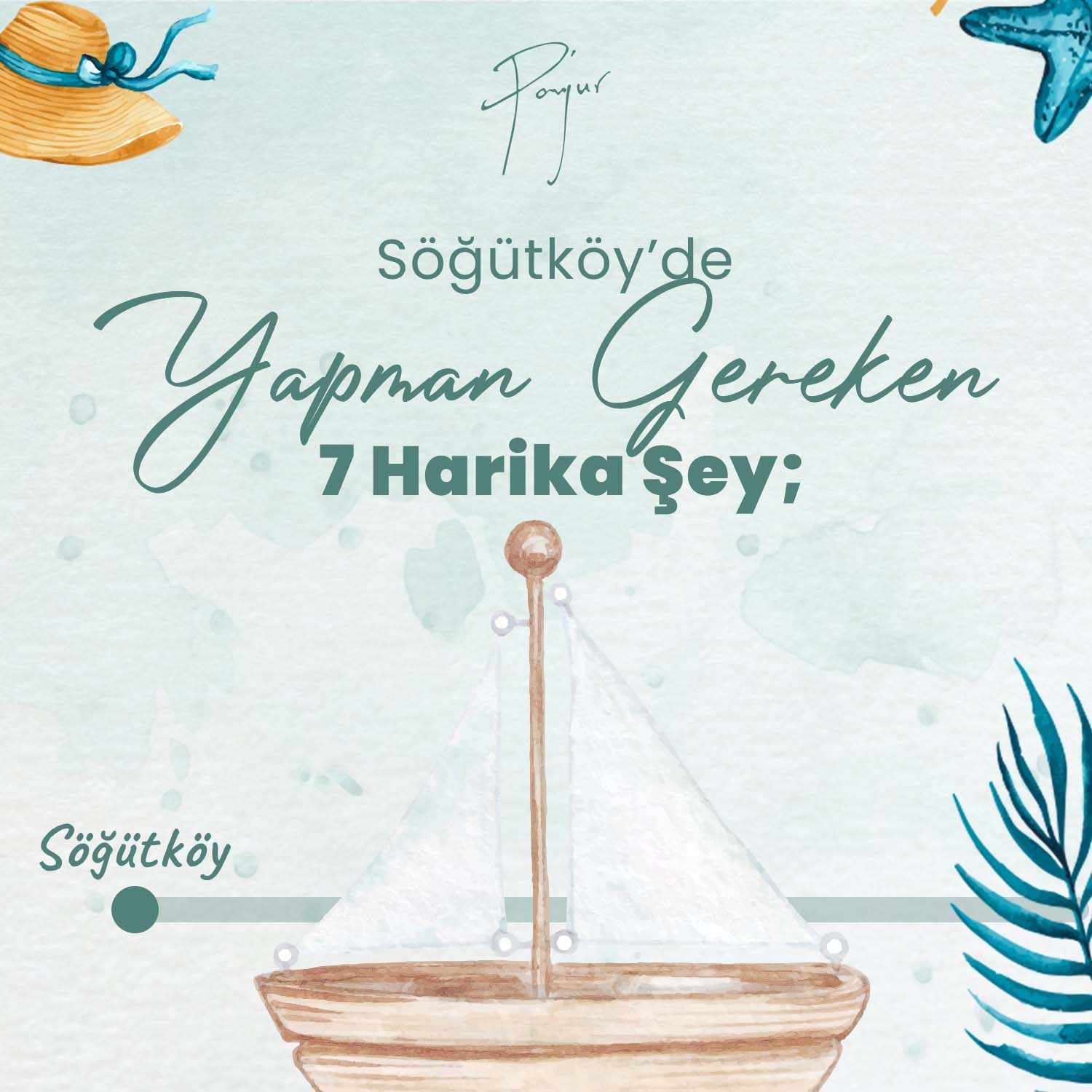 panjur Social Media Design