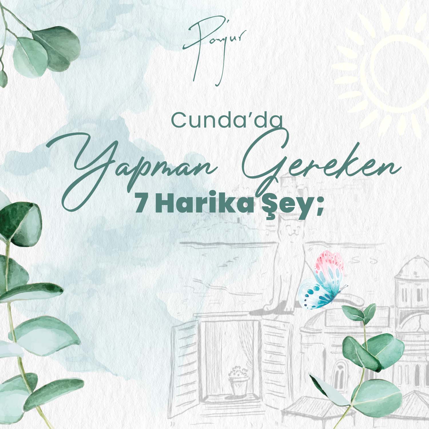 panjur Social Media Design