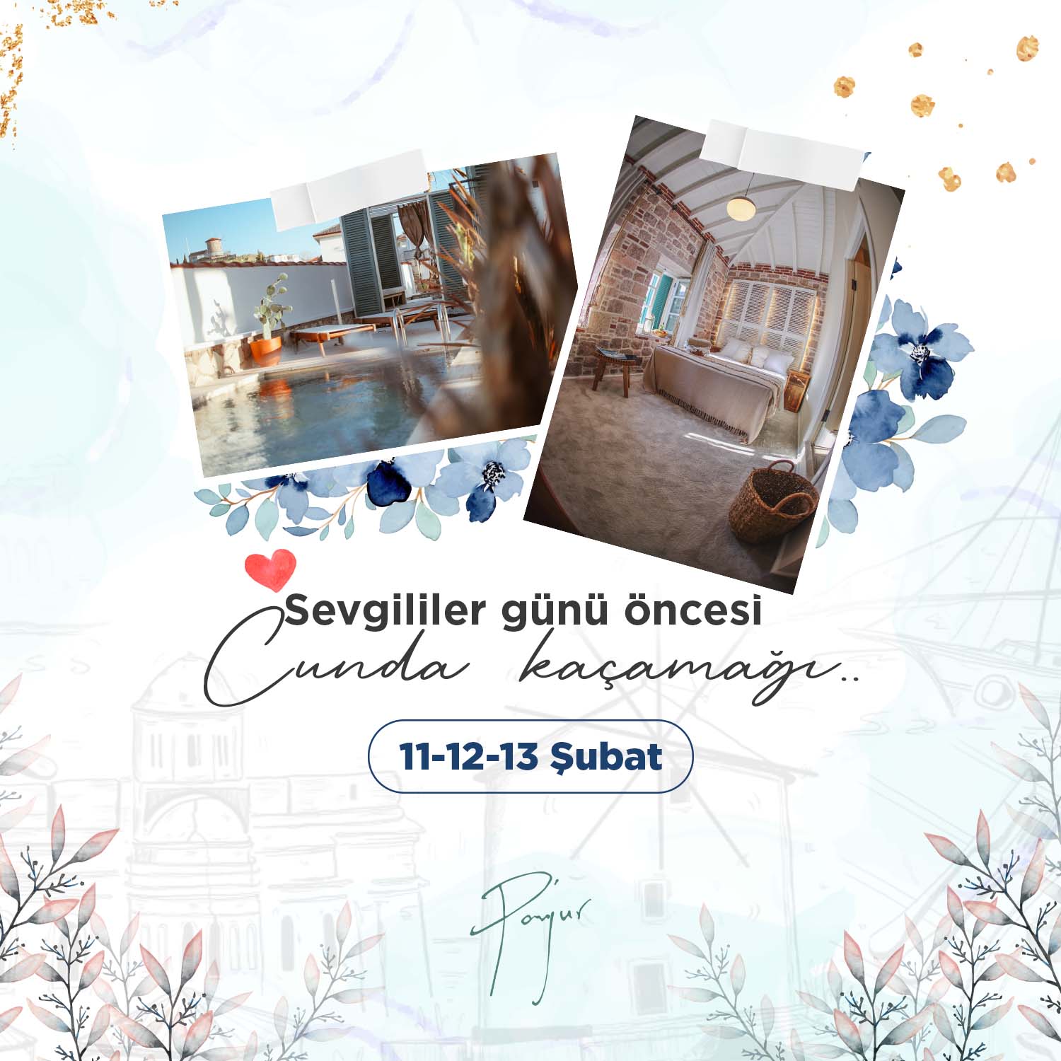 panjur Social Media Design